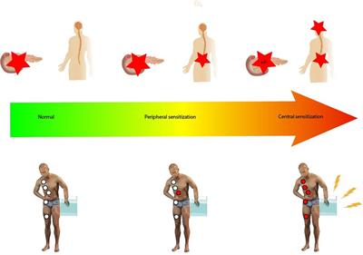 Assessment of visceral pain with special reference to chronic pancreatitis